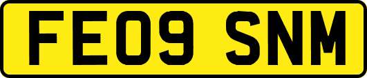 FE09SNM