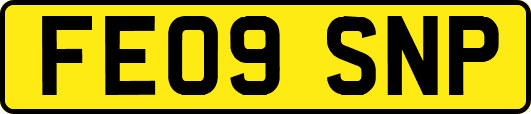 FE09SNP