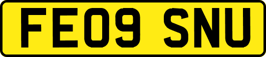 FE09SNU