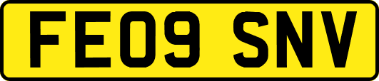 FE09SNV