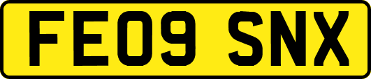 FE09SNX