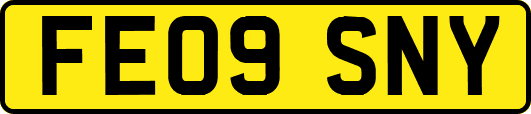 FE09SNY