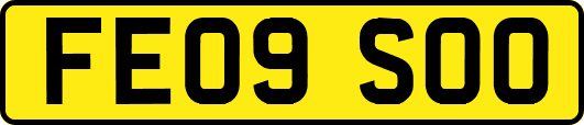 FE09SOO