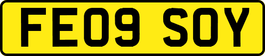 FE09SOY