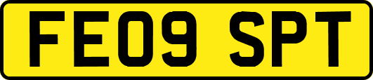 FE09SPT