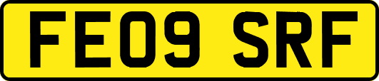 FE09SRF