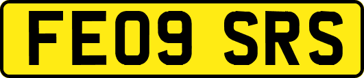 FE09SRS