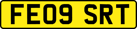 FE09SRT