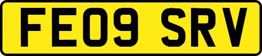 FE09SRV