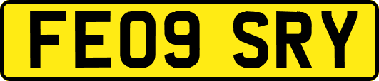 FE09SRY