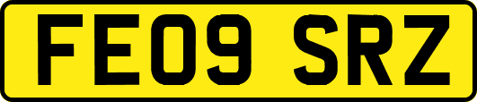 FE09SRZ