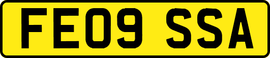 FE09SSA