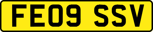 FE09SSV