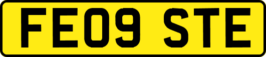 FE09STE