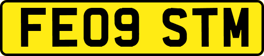 FE09STM