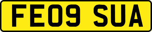 FE09SUA
