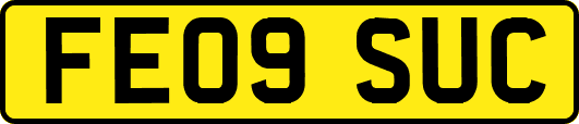 FE09SUC