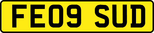 FE09SUD