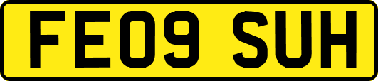 FE09SUH