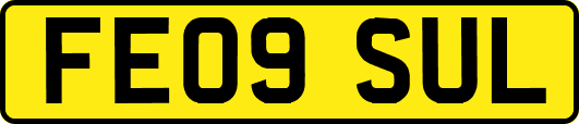 FE09SUL