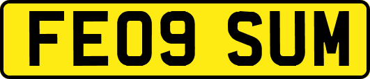 FE09SUM