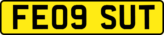 FE09SUT