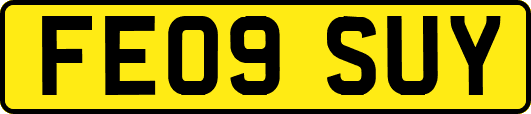 FE09SUY