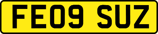 FE09SUZ