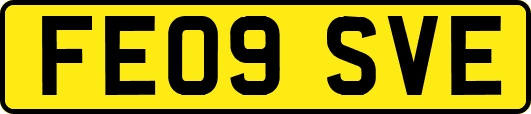 FE09SVE