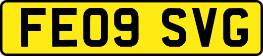 FE09SVG