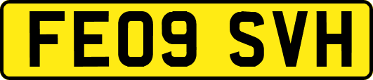 FE09SVH