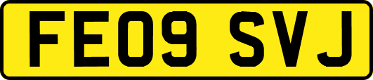 FE09SVJ