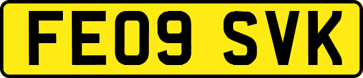 FE09SVK