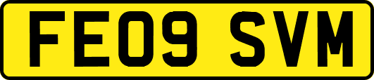 FE09SVM