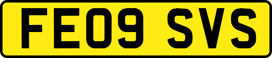 FE09SVS