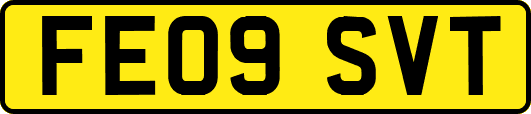 FE09SVT