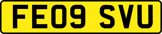 FE09SVU