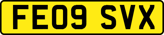 FE09SVX