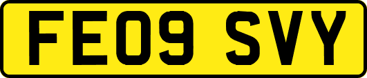 FE09SVY