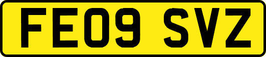 FE09SVZ