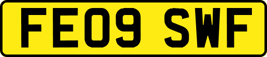 FE09SWF