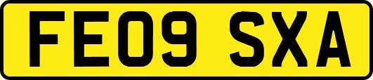 FE09SXA