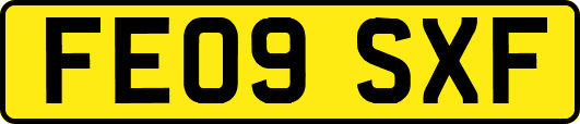 FE09SXF