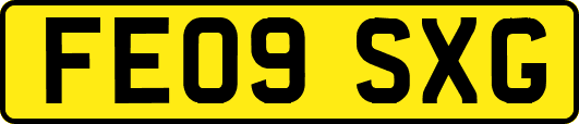 FE09SXG