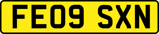 FE09SXN