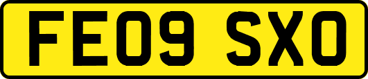 FE09SXO
