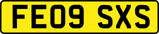 FE09SXS