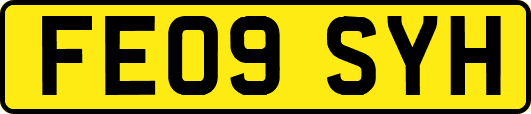 FE09SYH