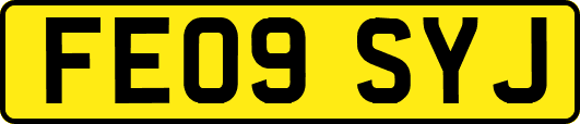 FE09SYJ