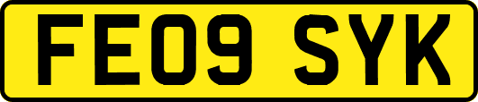 FE09SYK